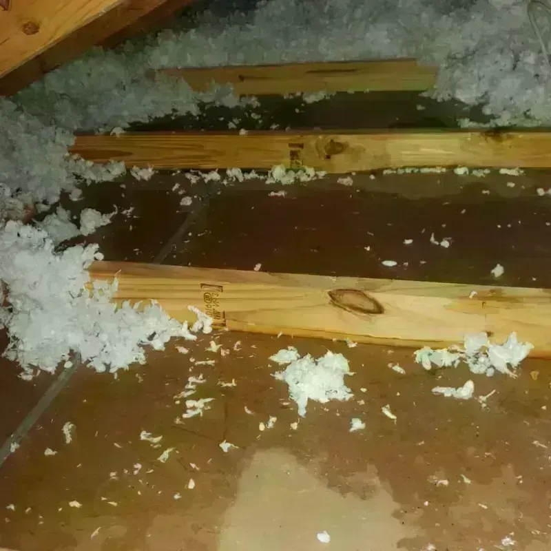 Attic Water Damage in Wise County, TX