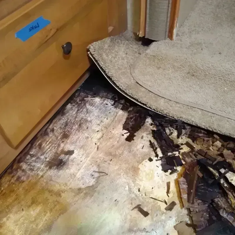 Wood Floor Water Damage in Wise County, TX